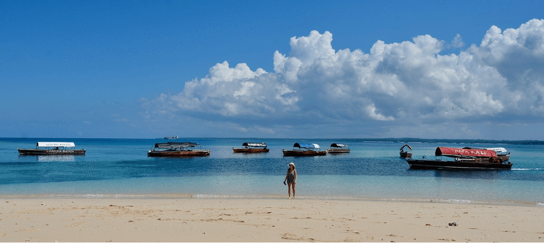 Tanzania and Zanzibar Island Family Safari, 20 Days