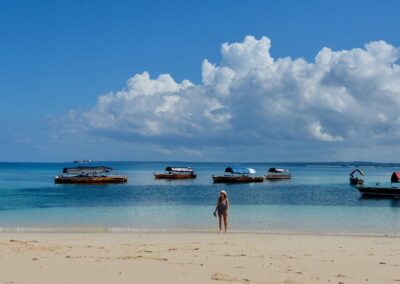 Zanzibar Island Day Safari Blue– By Boat