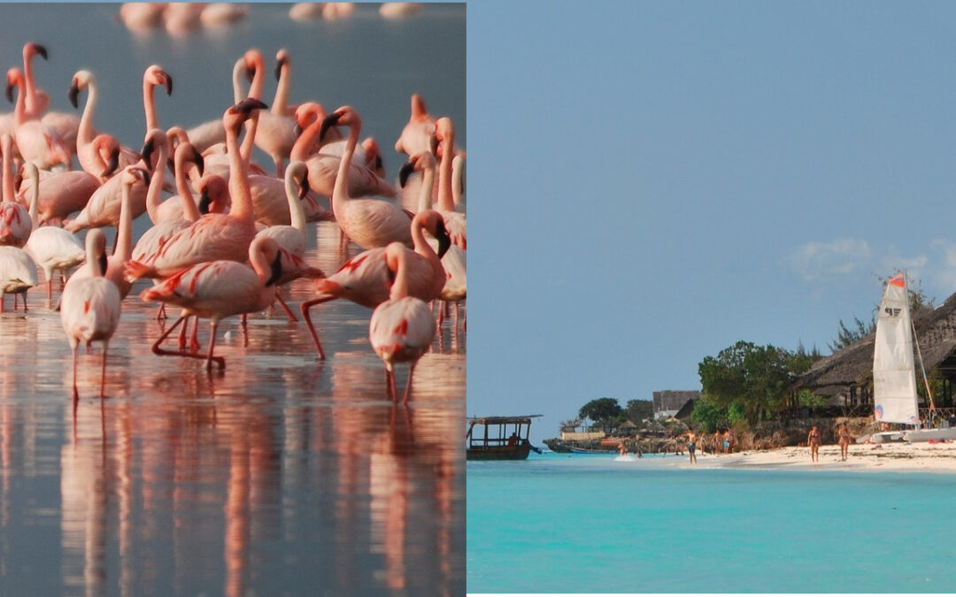 Tanzania and Zanzibar Island Tours, 13 Days