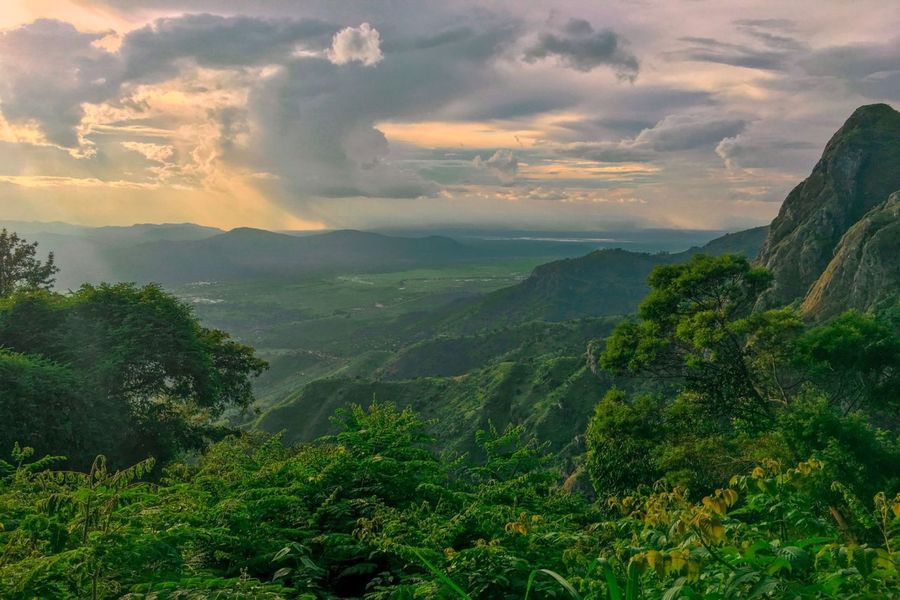 Usambara Mountains